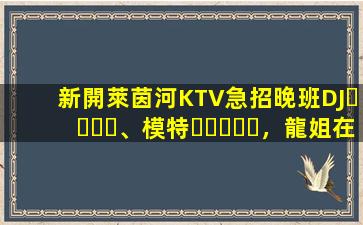 新開萊茵河KTV急招晚班DJ、模特，龍姐在杭州帶你上班